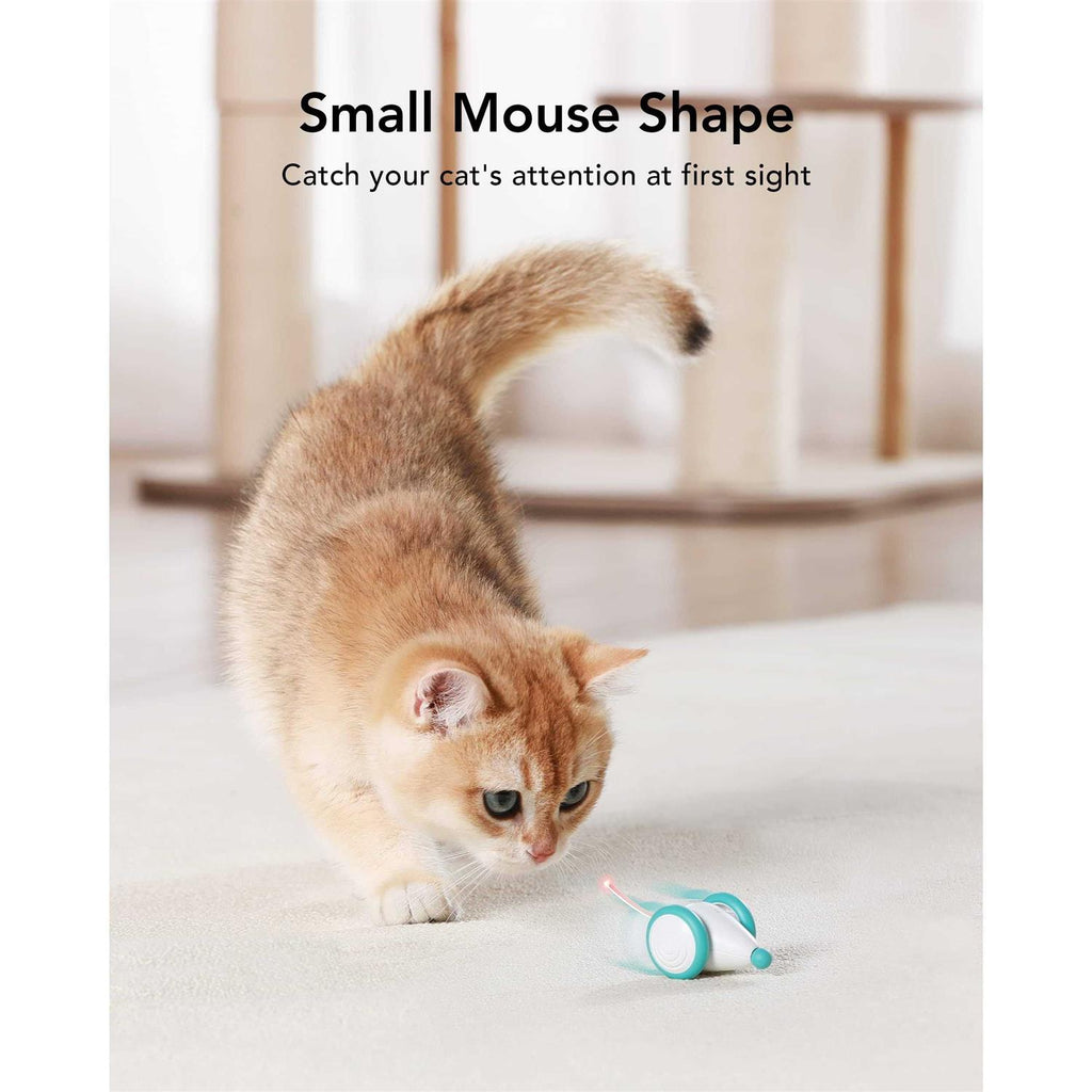 Interactive Cat Toys with LED Lights D9998