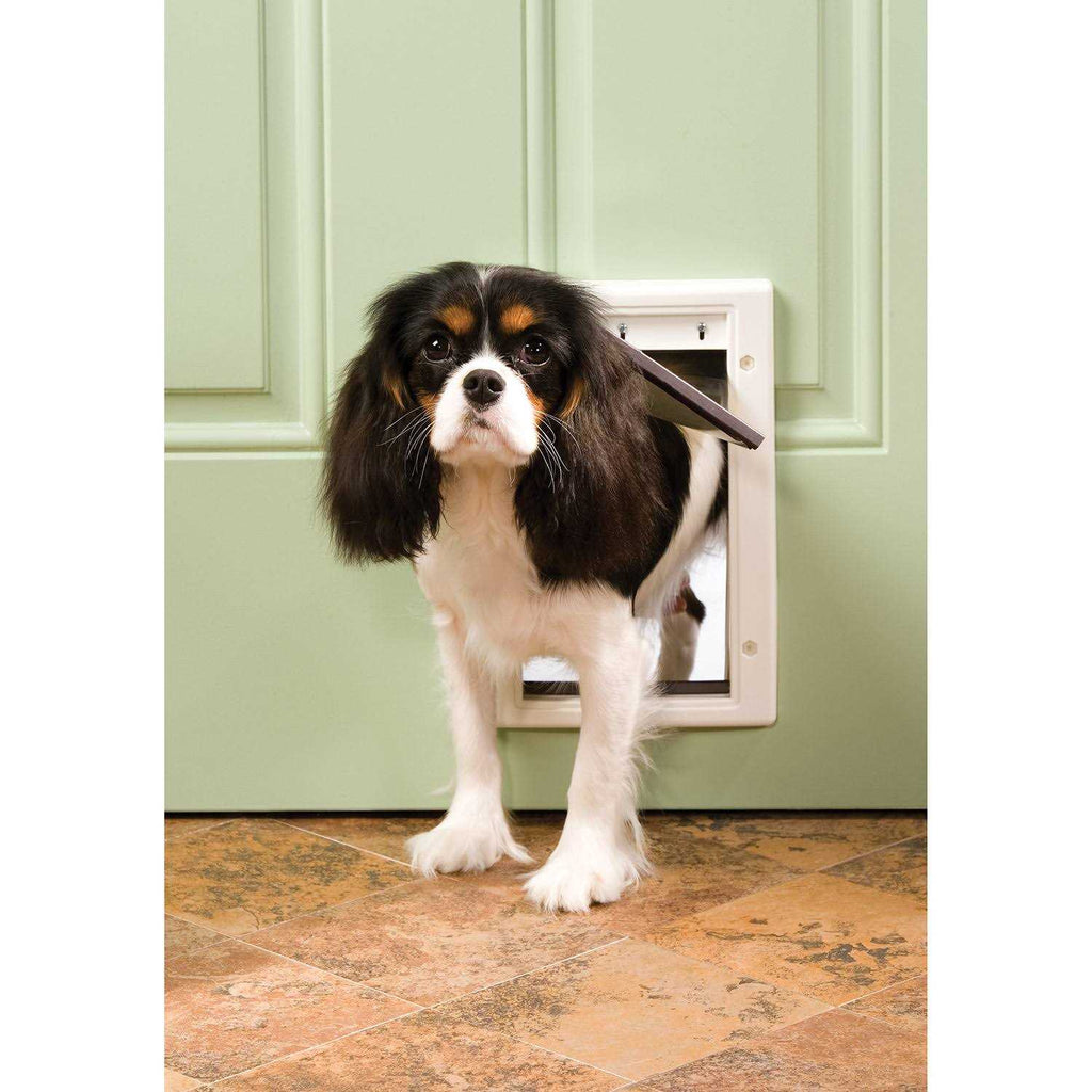 Plastic Pet Door R35655