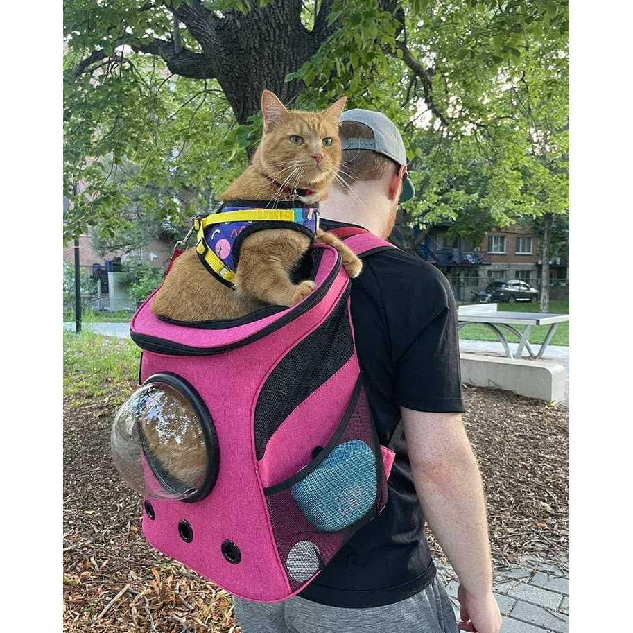 Cat Backpack Y263