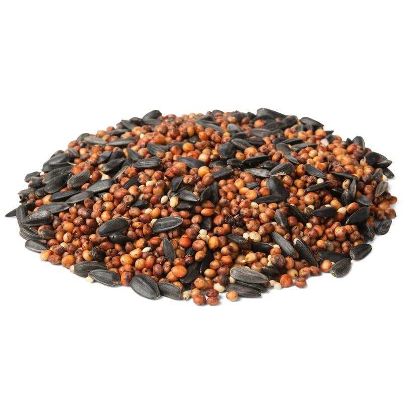 Wild Bird Food K319