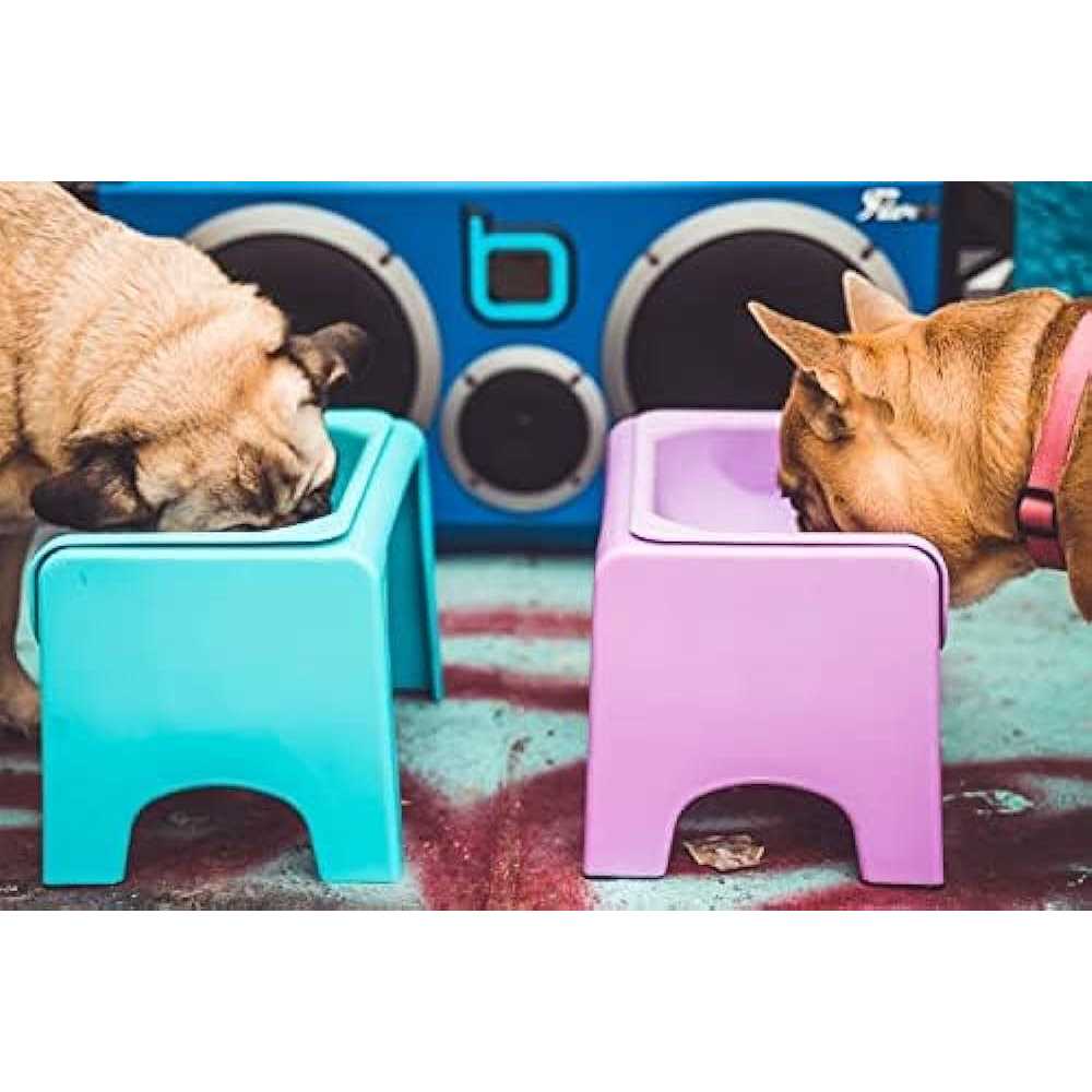 Elevated Dog & Cat Feeder M247184