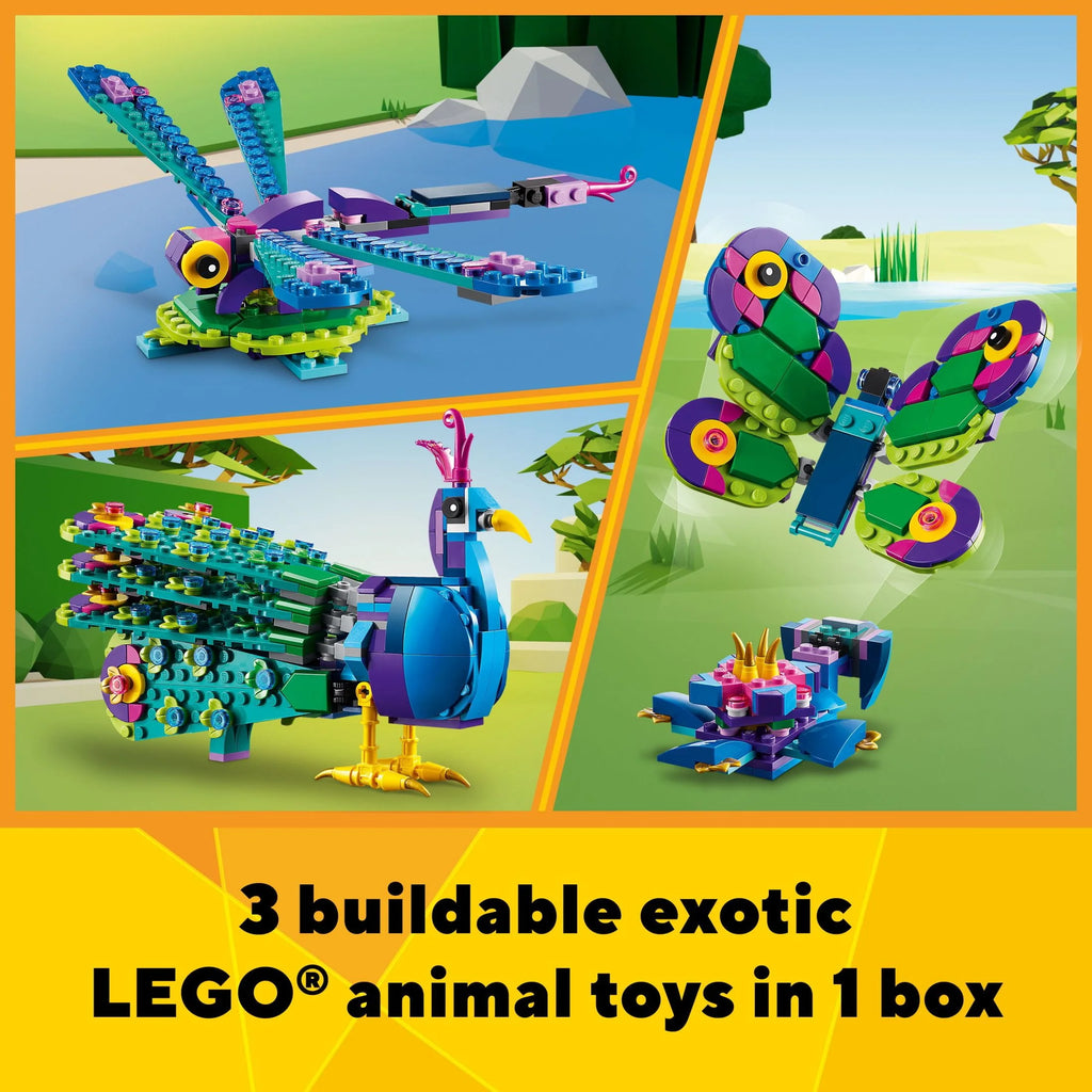 Exotic Peacock Toy 3 in 1 L273421