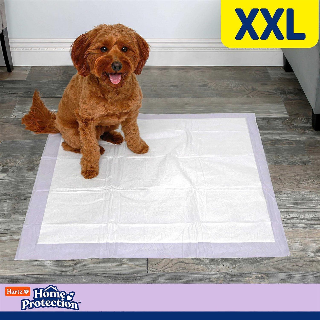 Lavender Scent Odor Eliminating Dog Pads J376