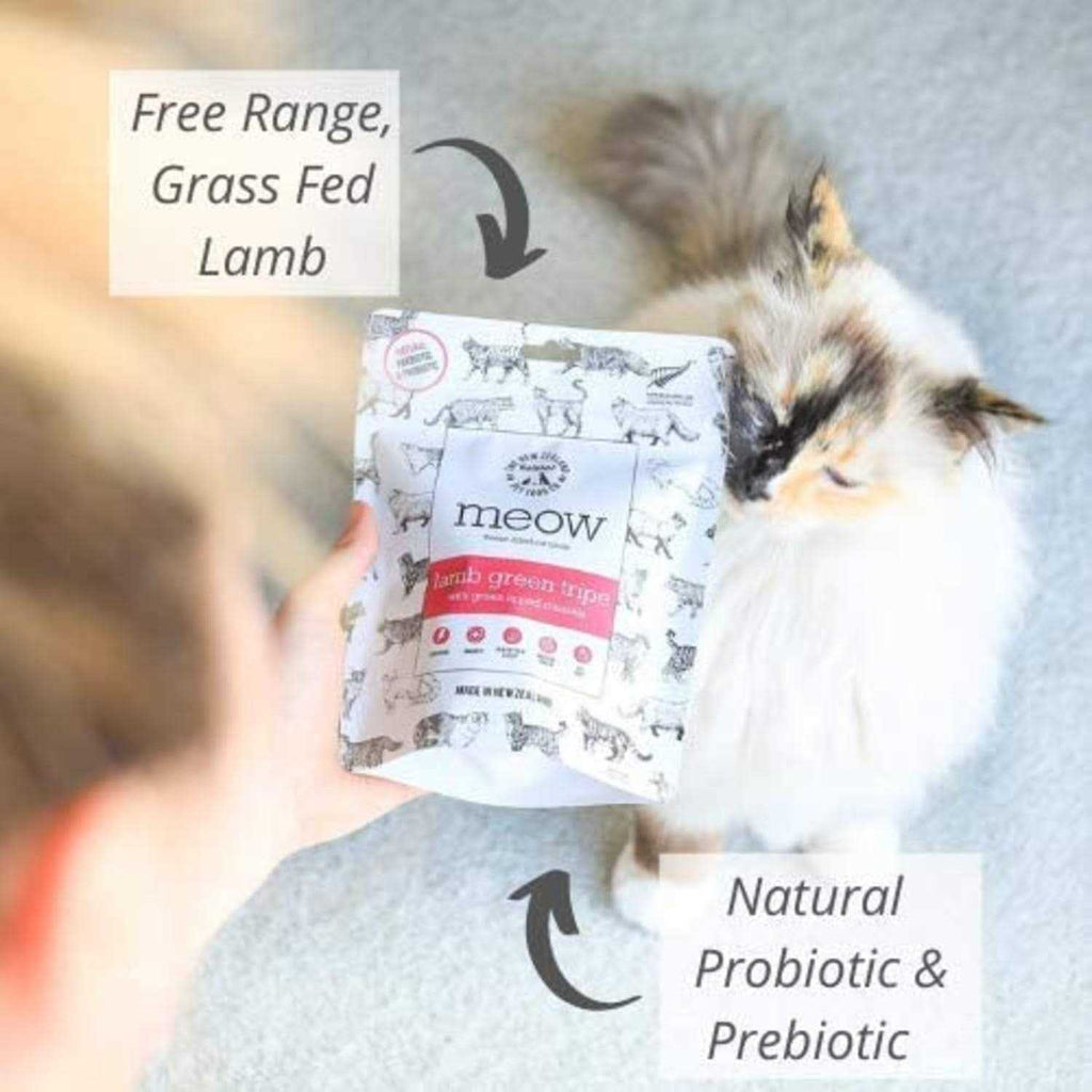 Freeze Dried Lamb Green Tripe Cat Treat J5259