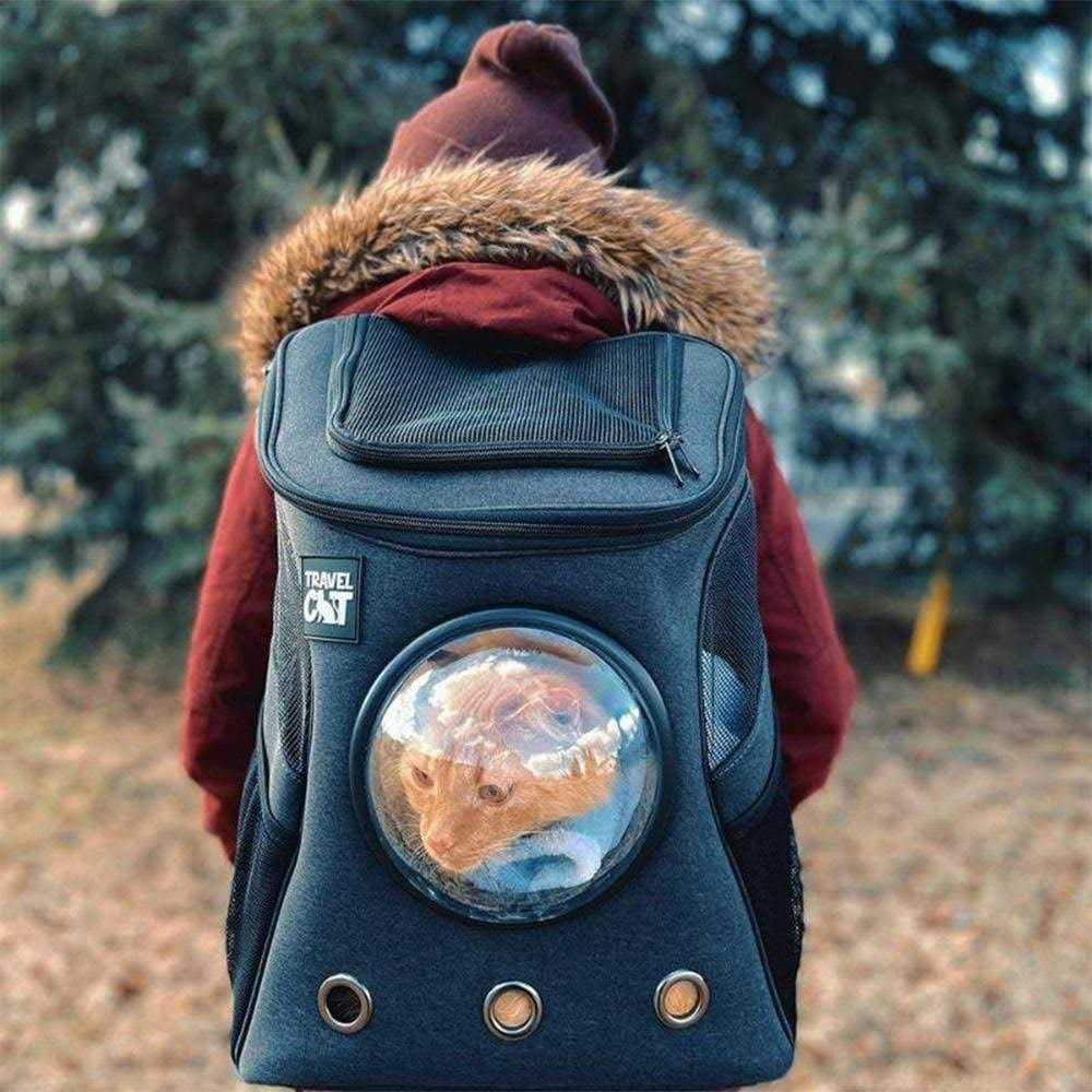 Cat Backpack Y263