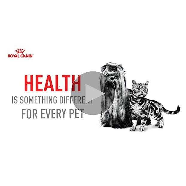 Adult Cat Food U910717
