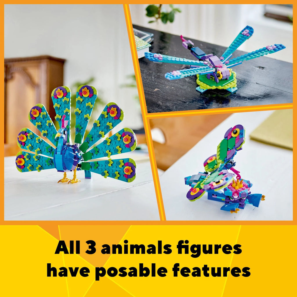 Exotic Peacock Toy 3 in 1 L273421