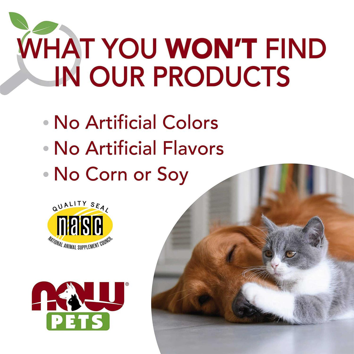 Pet Allergy P76971