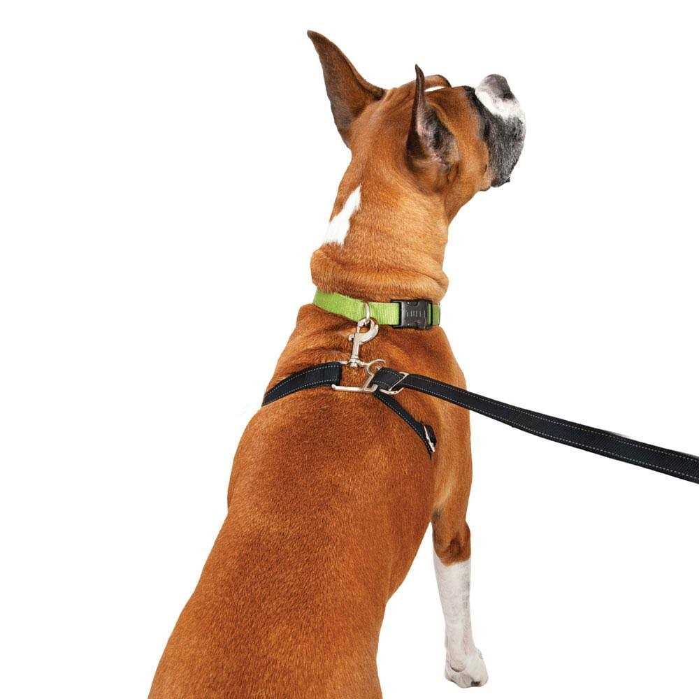 Retractable Dog Leash A1893