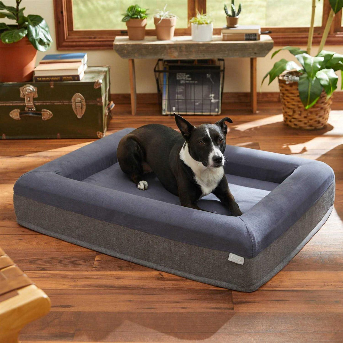Orthopedic Rectangular Bolster Cat Dog Bed P77753