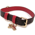 Boxed Pet Collar In Signature Canvas W854