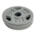 10 lb Standard 1 Weight Plate Set (2.5 lb x 4) C370052