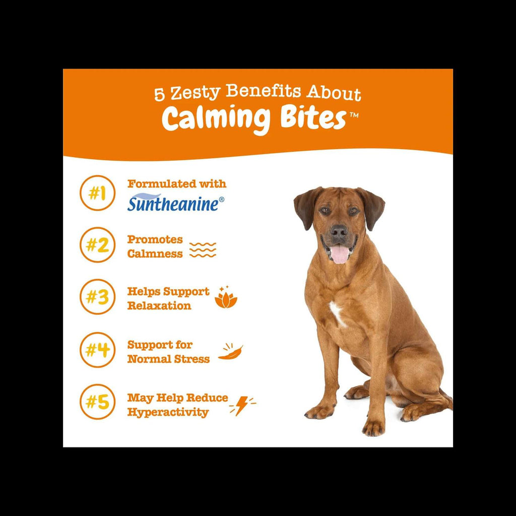 Calming Bites Soft Chews for Dogs E34021