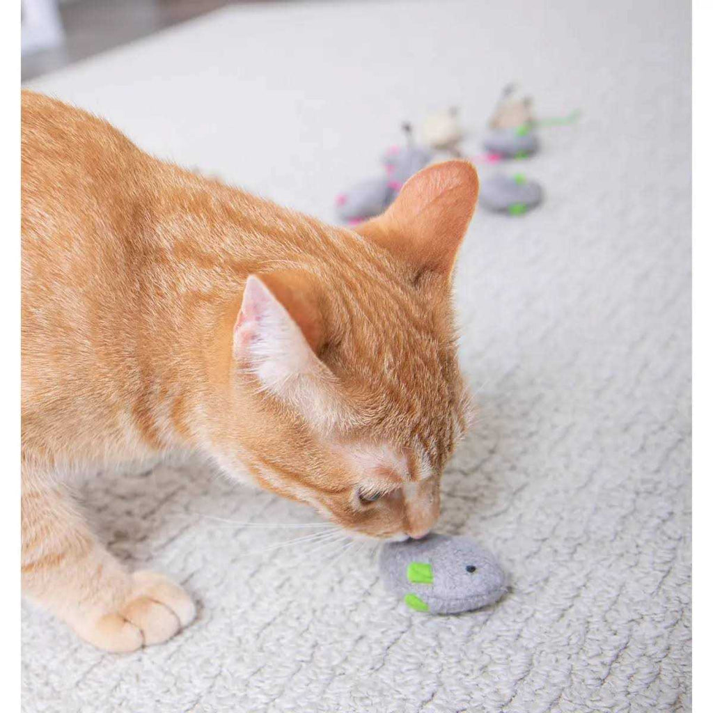 Catnip Toys K86201