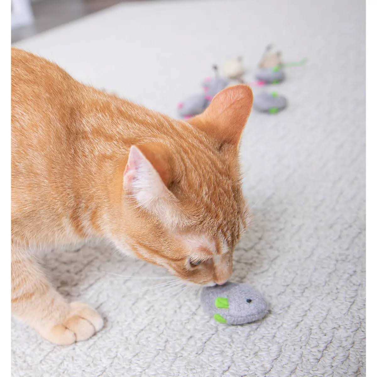 Catnip Toys K86201
