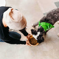 Vegan Dry Dog Food E673519