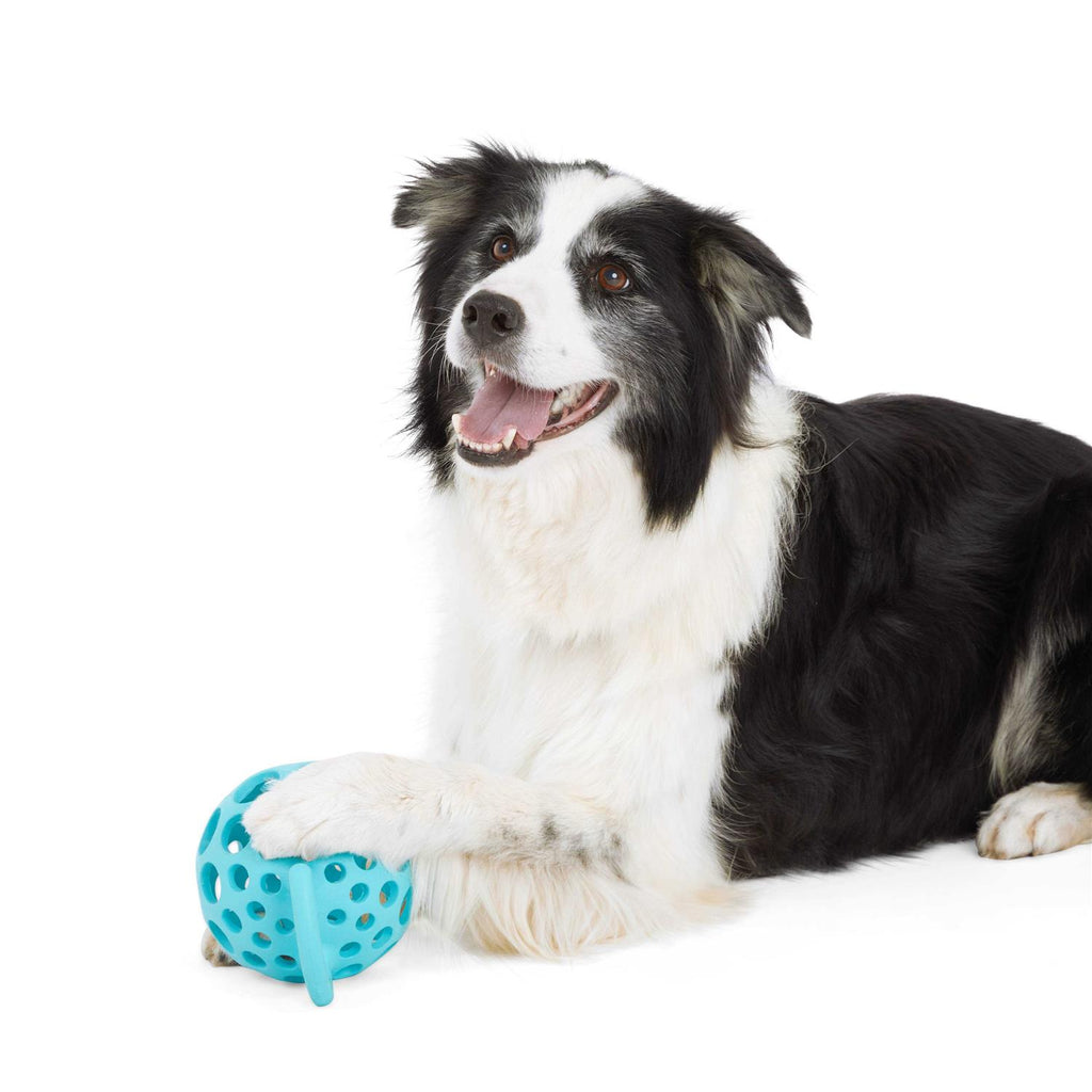 Cage Ball with Handle Dog Toy W338