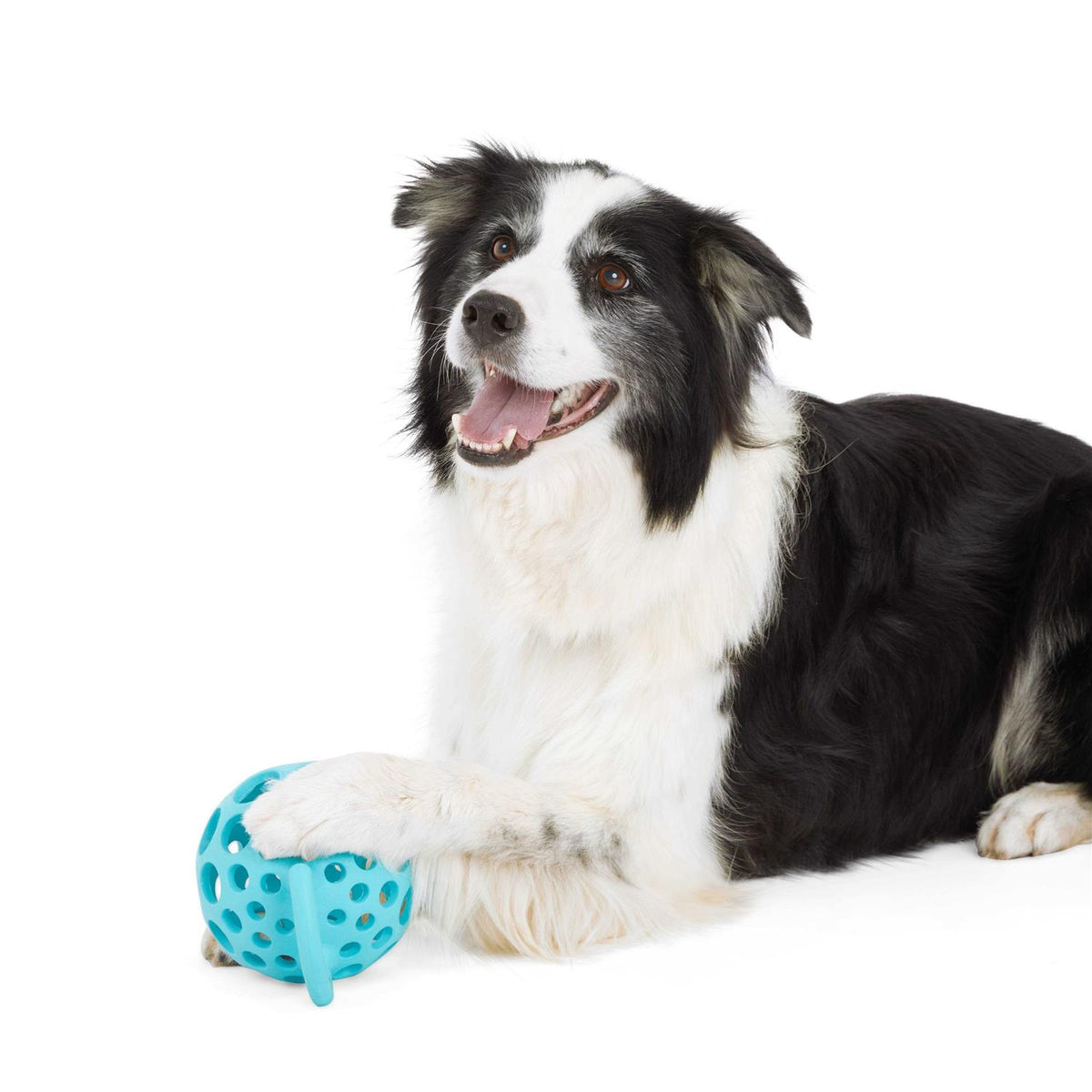 Cage Ball with Handle Dog Toy W338