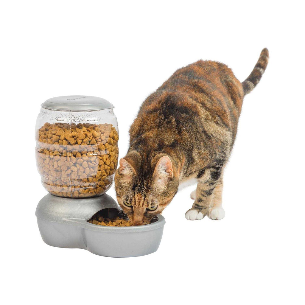 Pet Feeder H456