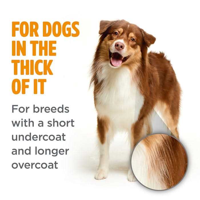 Dog Shampoo F85981