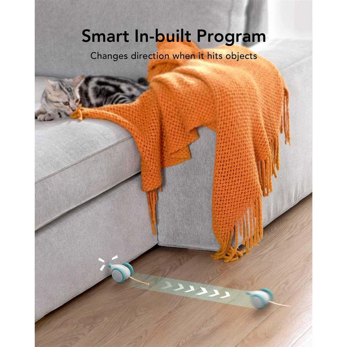 Interactive Cat Toys with LED Lights D9998