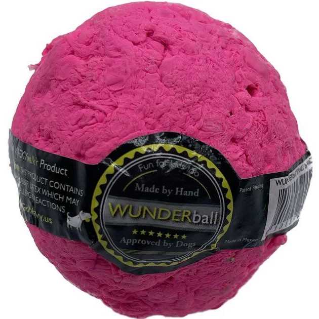 Fetch Dog Toy K96670