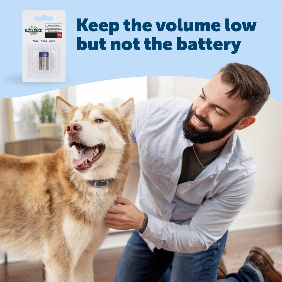 Bark Collar V10298