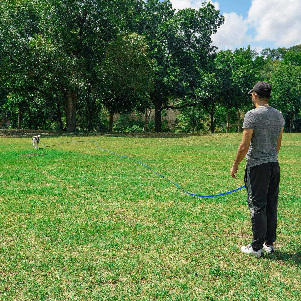Dog Puppy Training Leash 15ft 20ft 30ft 50ft 100ft W463