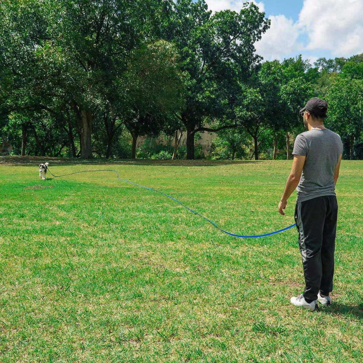 Dog Puppy Training Leash 15ft 20ft 30ft 50ft 100ft W463