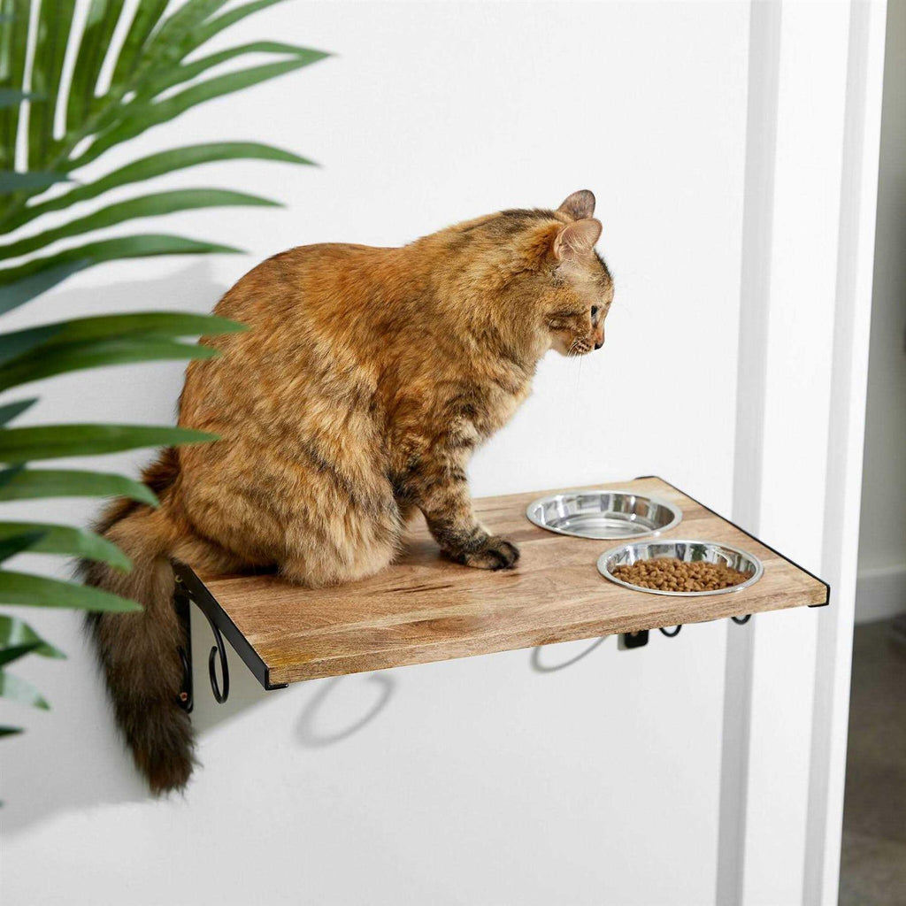 Wooden Wall Mounted Stainless Steel Cat Feeding Station with Bowl D577751