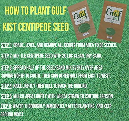Centipede Grass Seed 1 lb Coated Seeds F435075