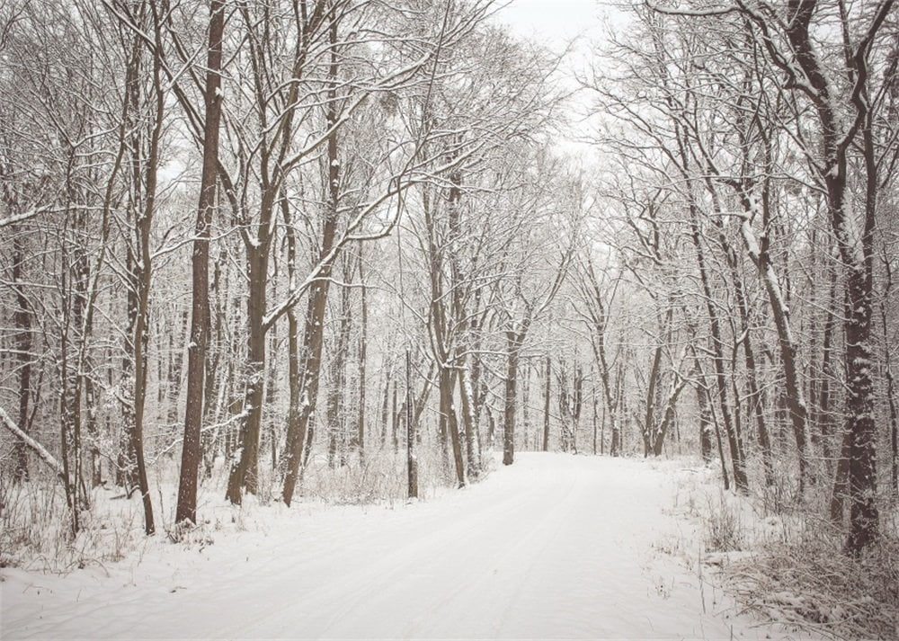 7x5ft Christmas Backdrop Snow Covered Landscape Photography Background O3833