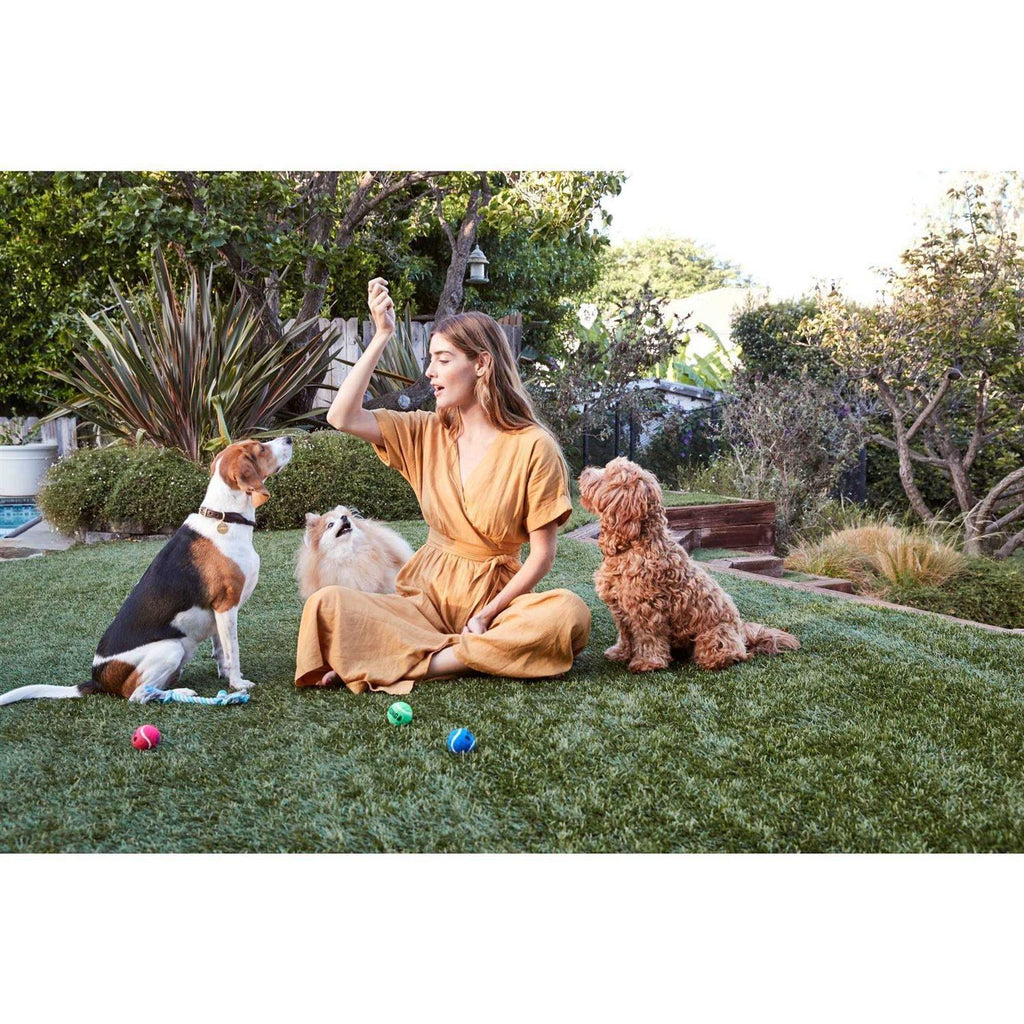 Natural Cut Pork Jerky Dog Treats H7972