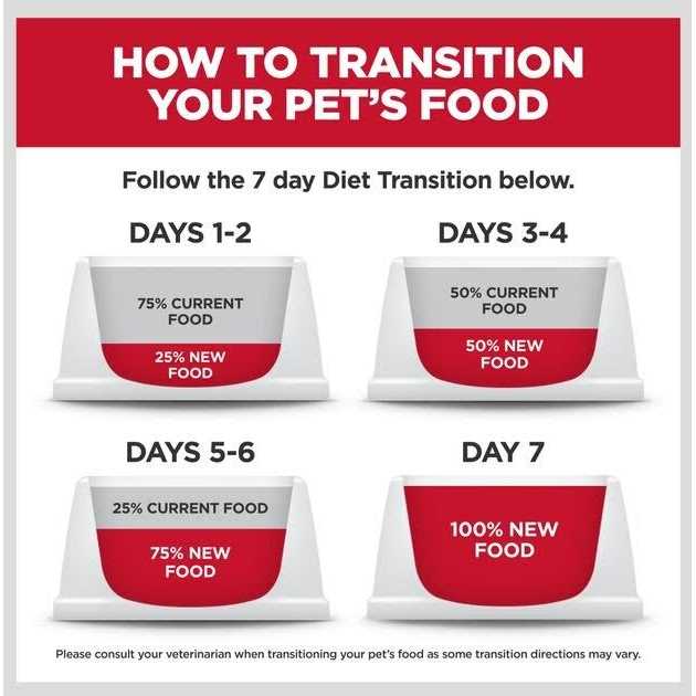 Dry Dog Food W21759