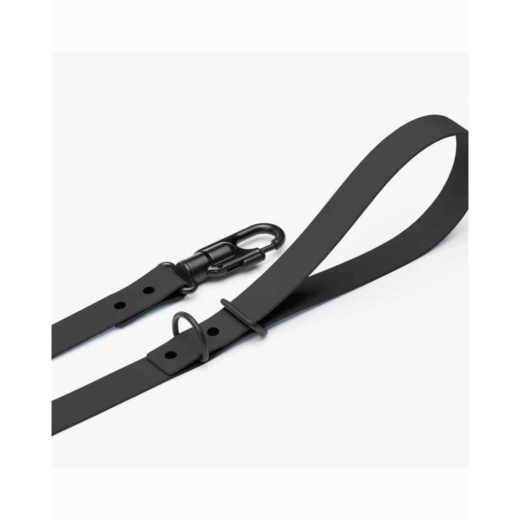 Dog Leash S547
