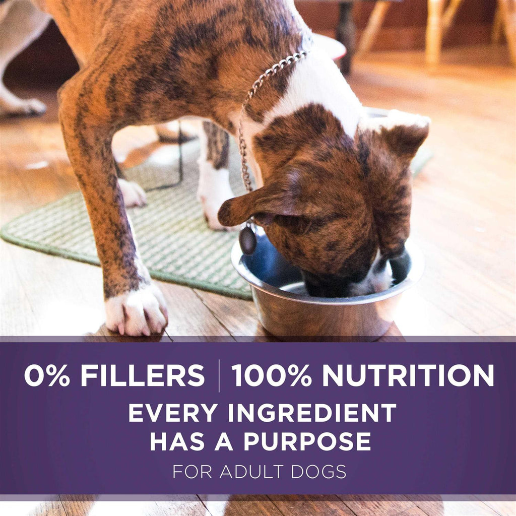 Chicken & Brown Rice Wet Dog Food U360607
