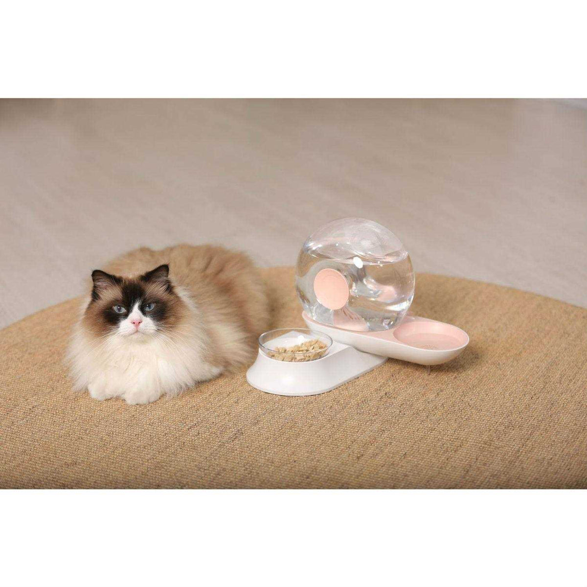 Snail Shaped 2-in-1 Automated Gravity Pet Water Dispenser and Food Bowl F960600