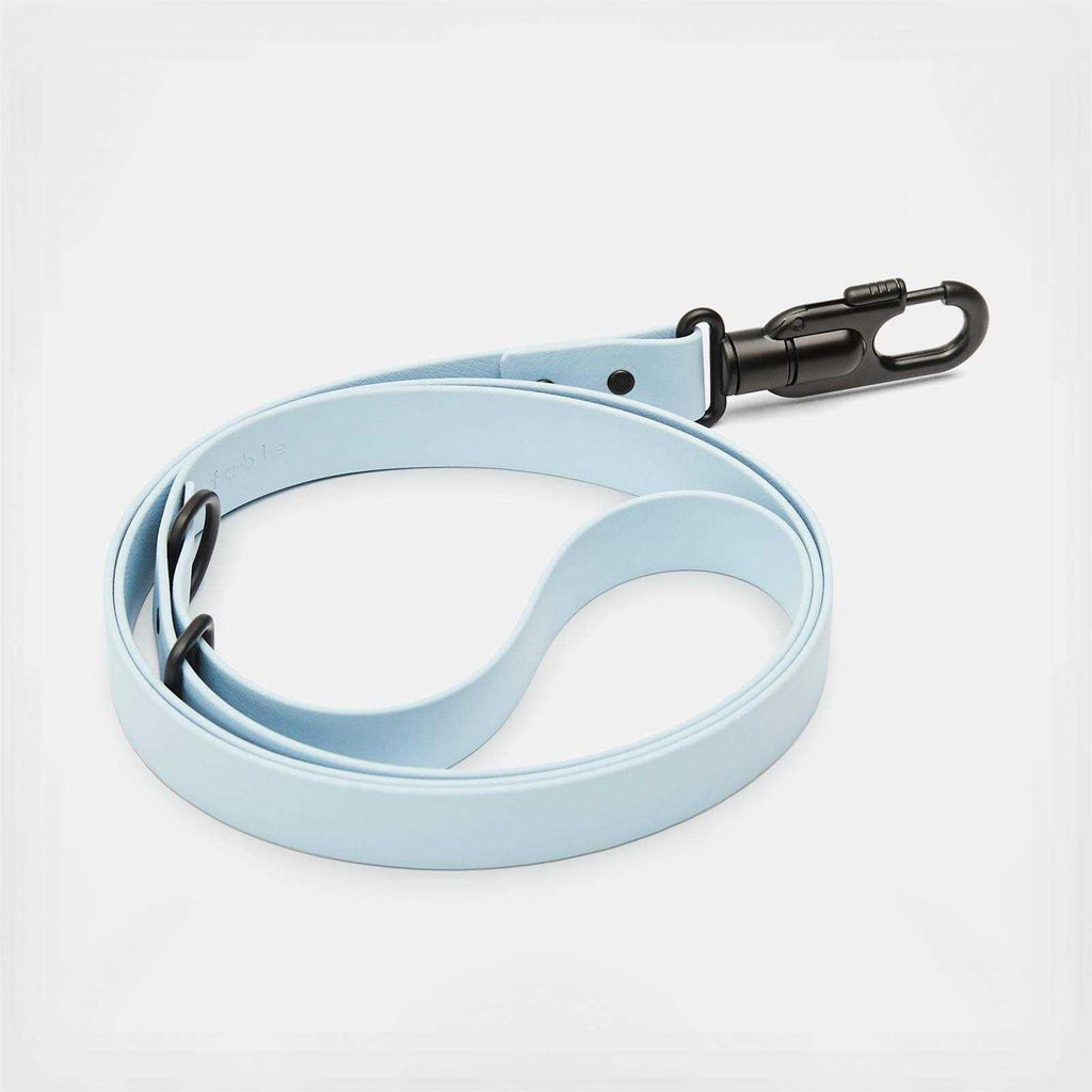 Dog Leash S547