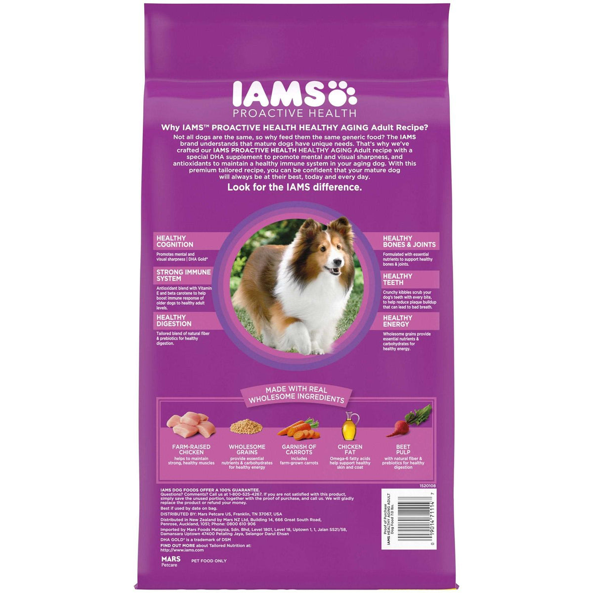 Dry Dog Food T154409