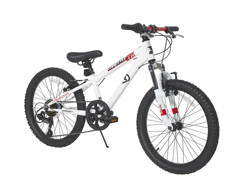 20-Inch Boys BMX Bike D41564