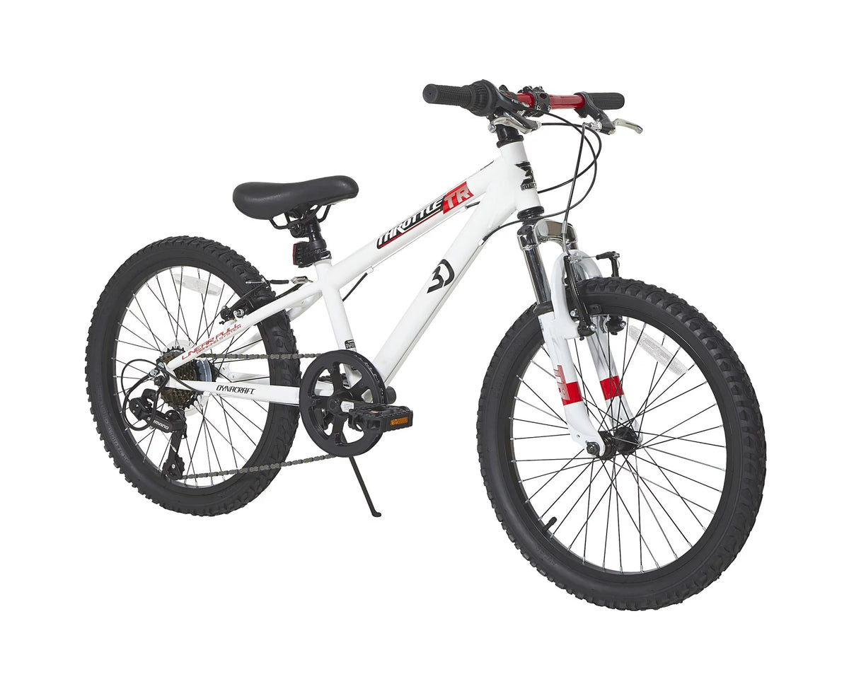 20-Inch Boys BMX Bike D41564