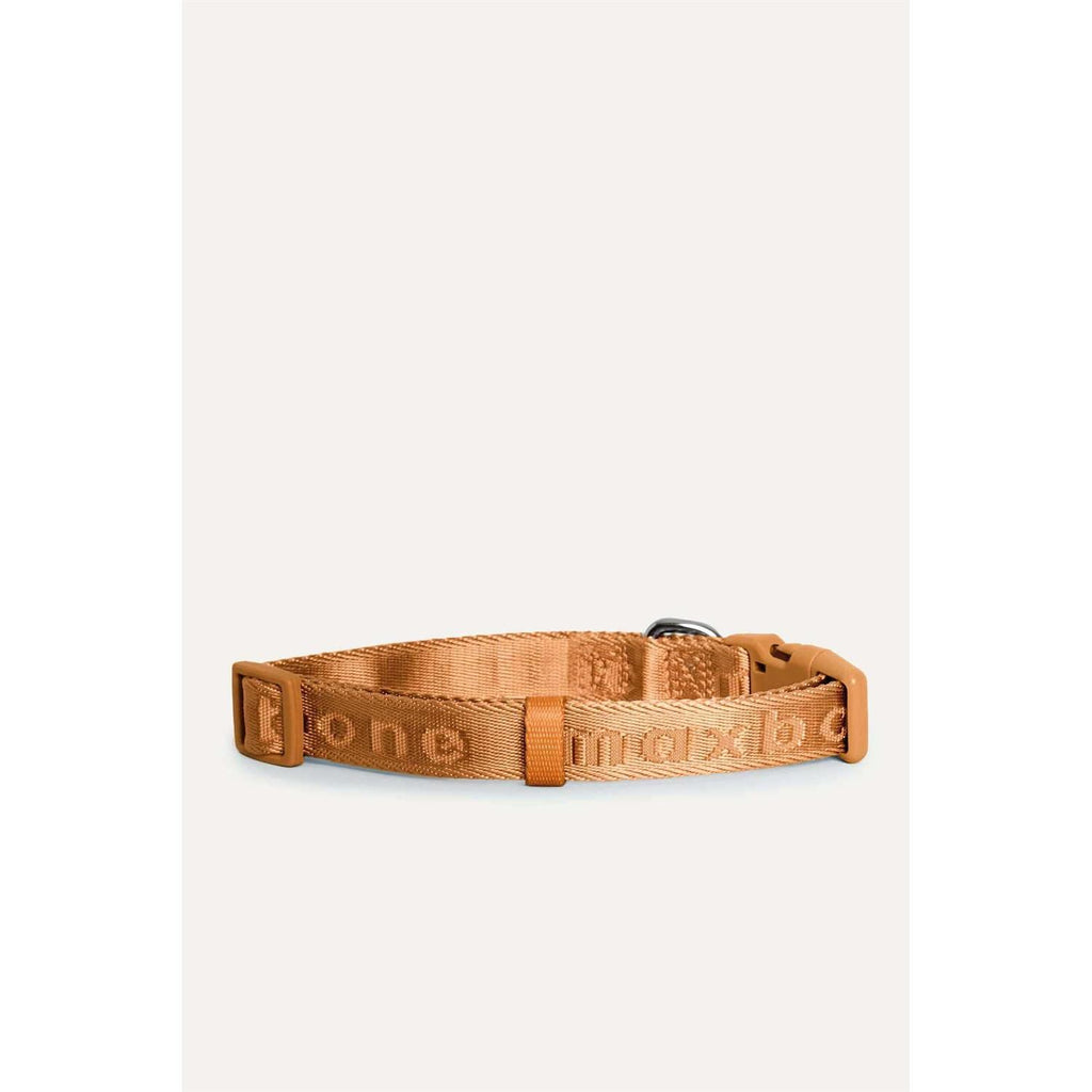 Collar N58674