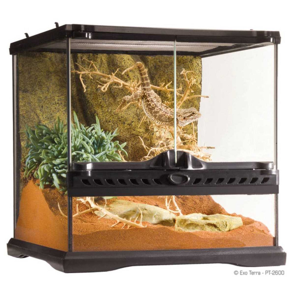 Glass Terrarium N8340