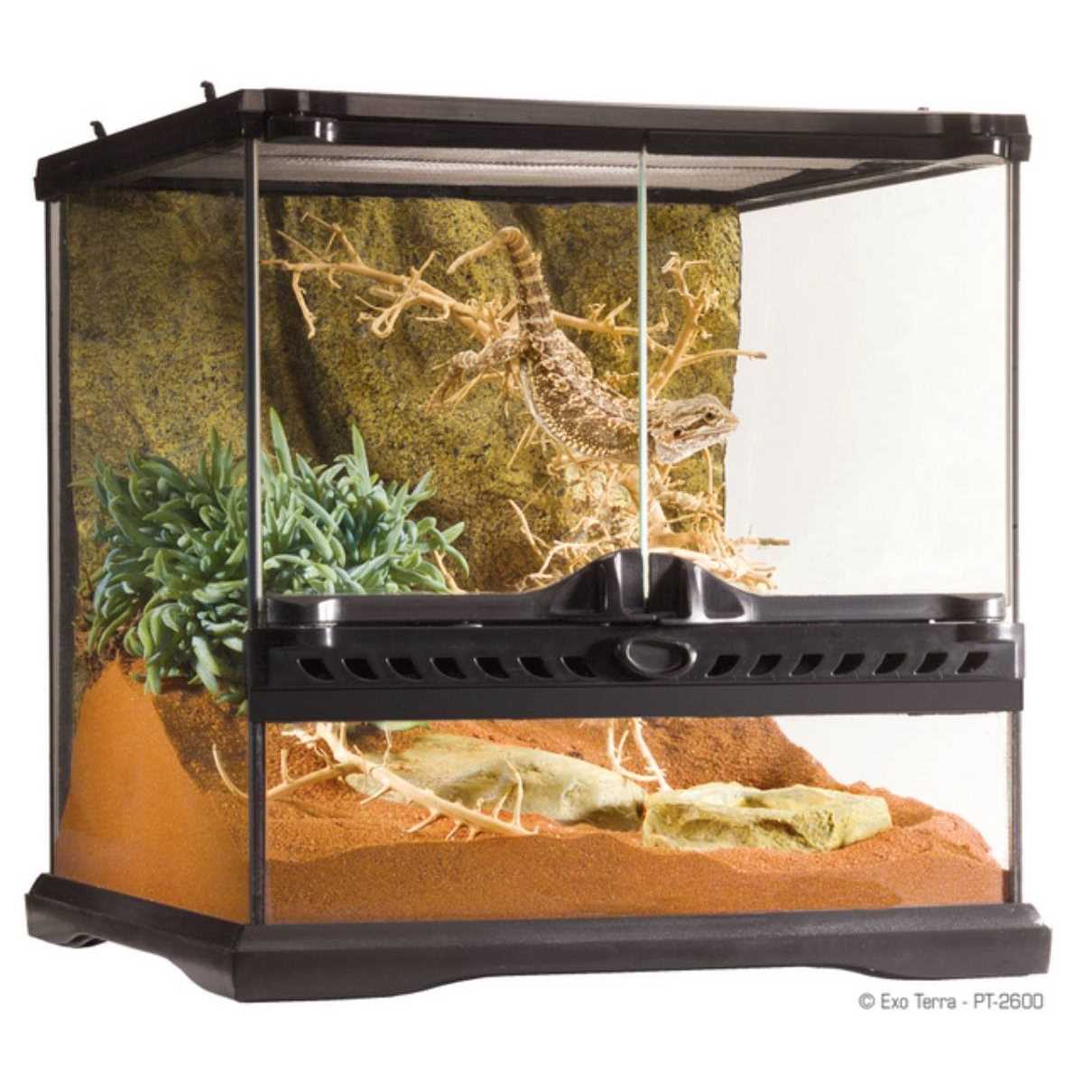 Glass Terrarium N8340