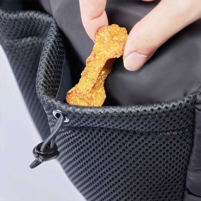 Dog Walking Bag E957