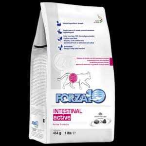 Intestinal Support Dry Cat Food Z9007