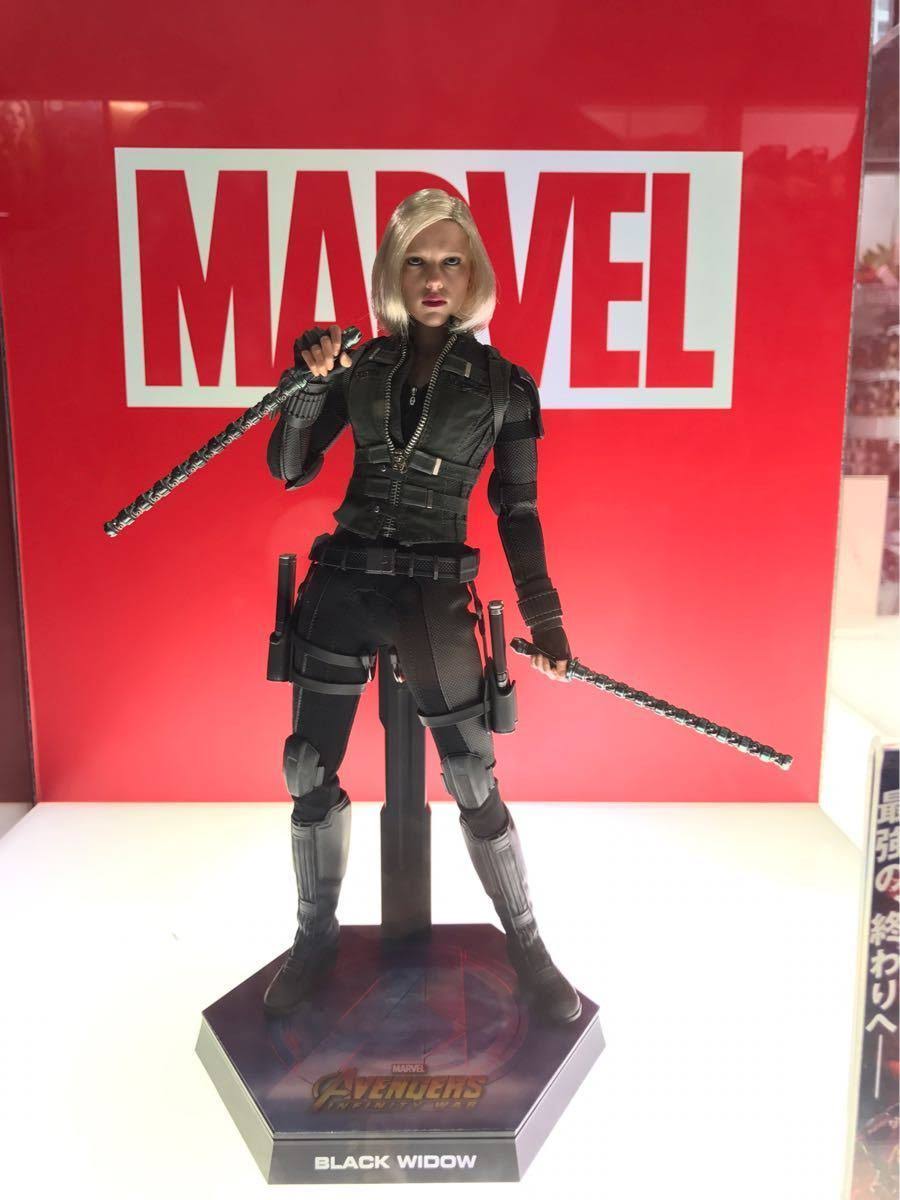 1/6 Scale Figure W544