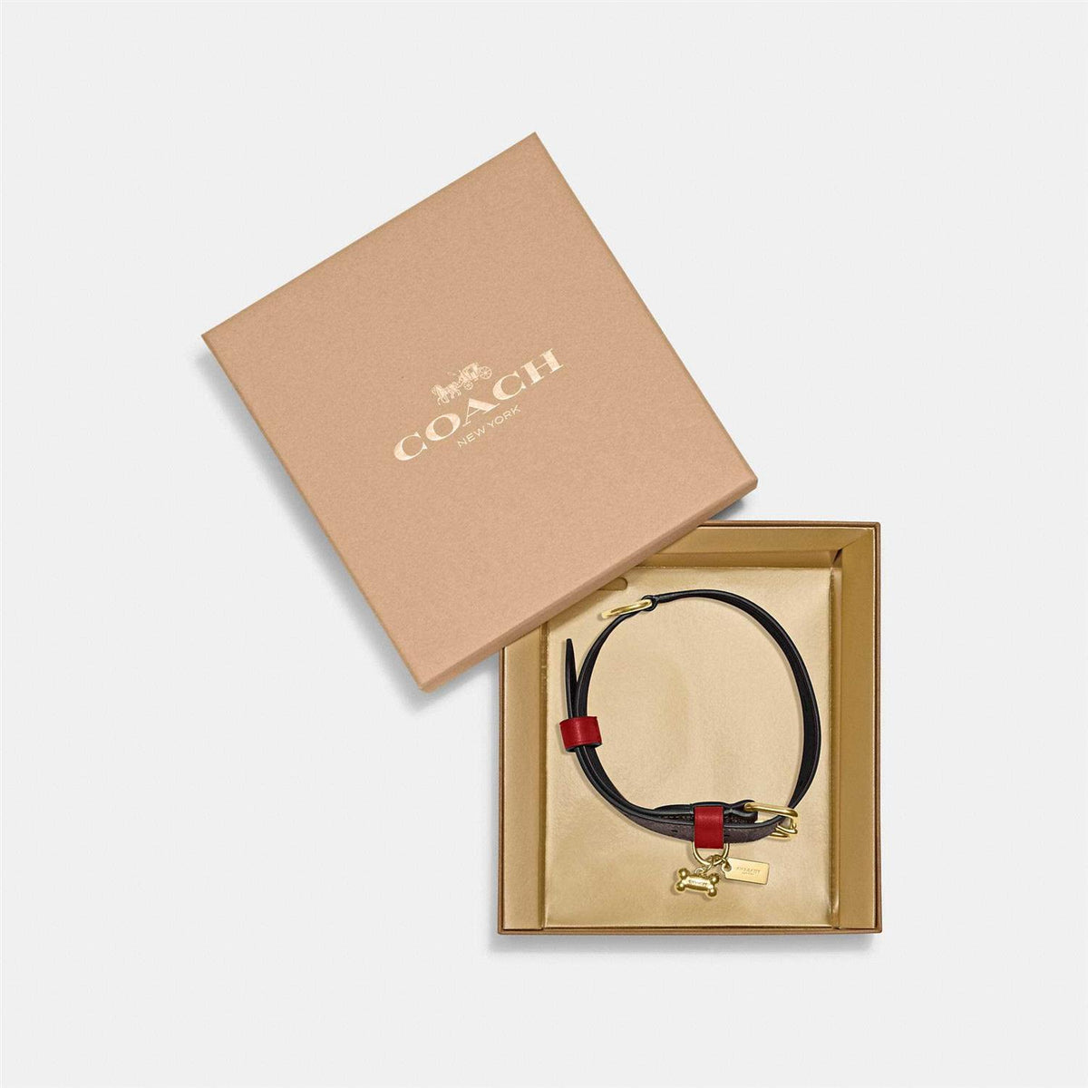 Boxed Pet Collar In Signature Canvas W854