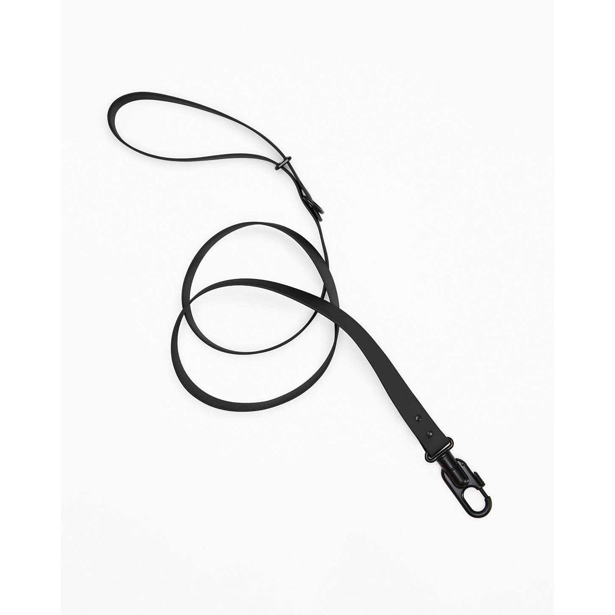 Dog Leash S547