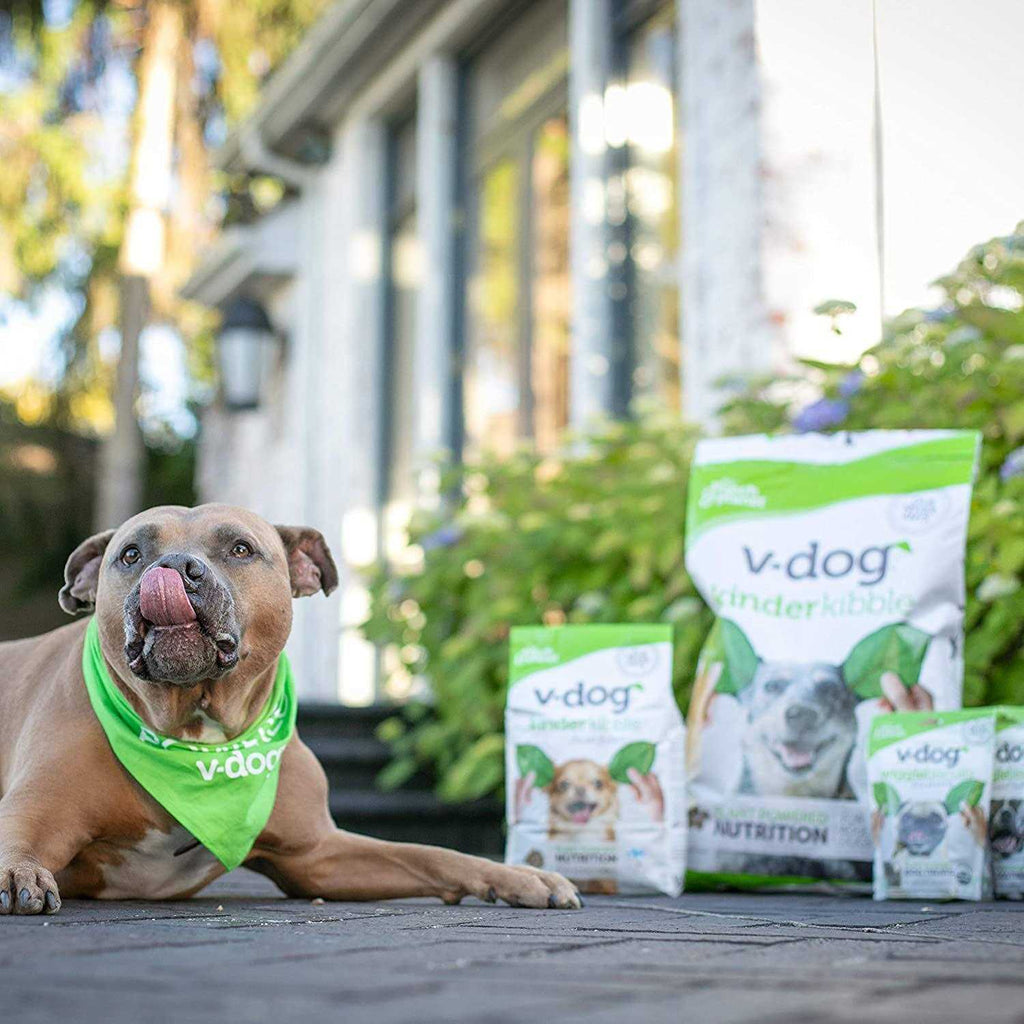 Vegan Dry Dog Food E673519